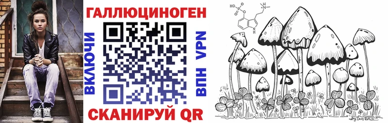 Купить  Коряжма  Галлюциногенные грибы мицелий 